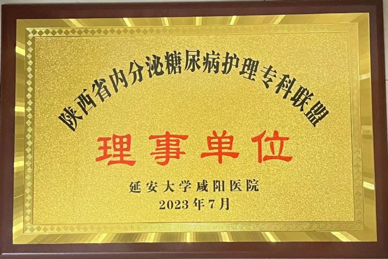 陜西省內(nèi)分泌糖尿病護(hù)理專科聯(lián)盟理事單位